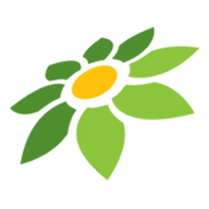 LANGSUNG LAKU TOKOPEDIA